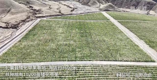 来庄稼人得盯紧天了！南方后天暴雨高温轮着(图4)